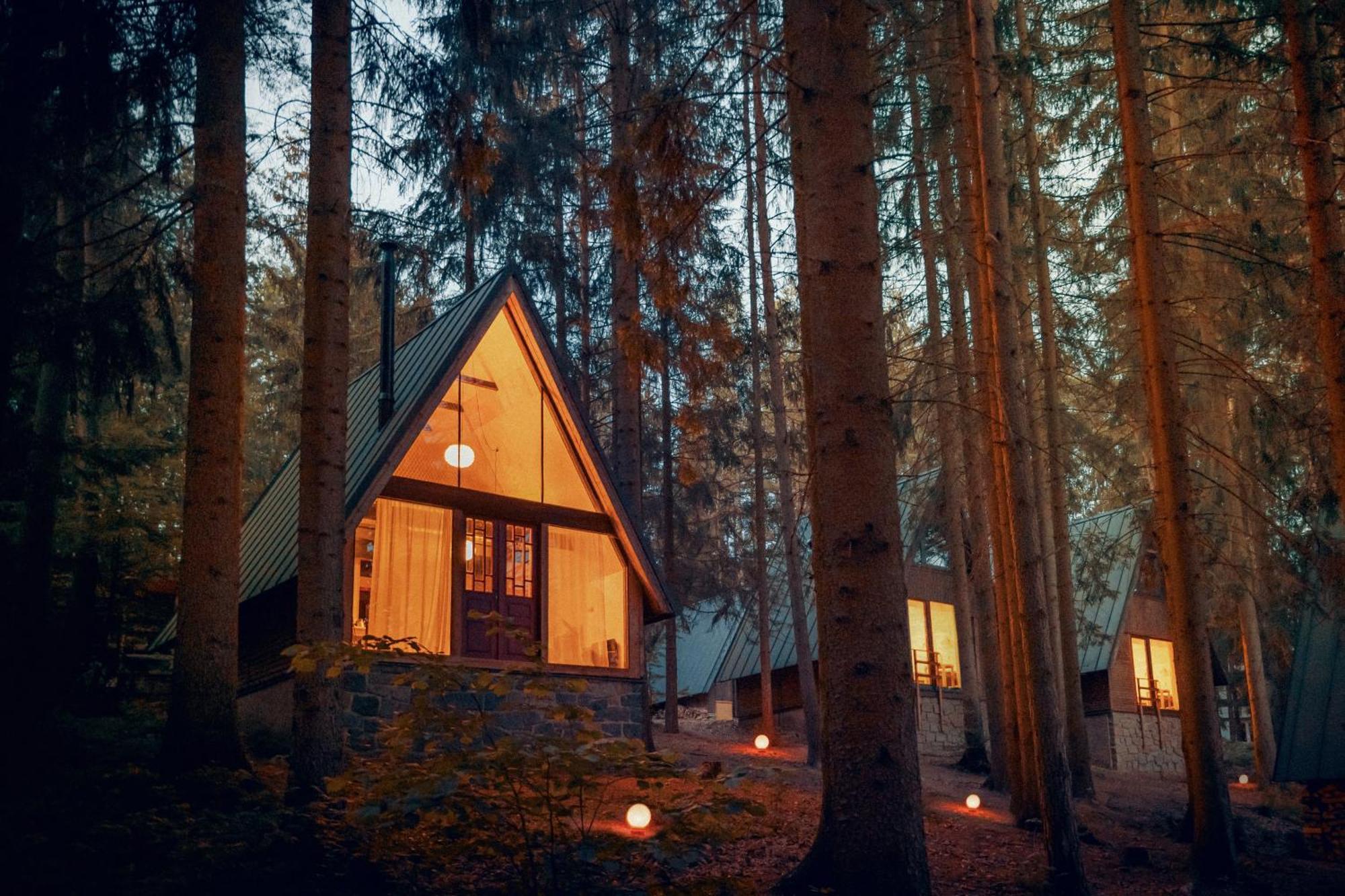 Kouty - Lesni Apartment