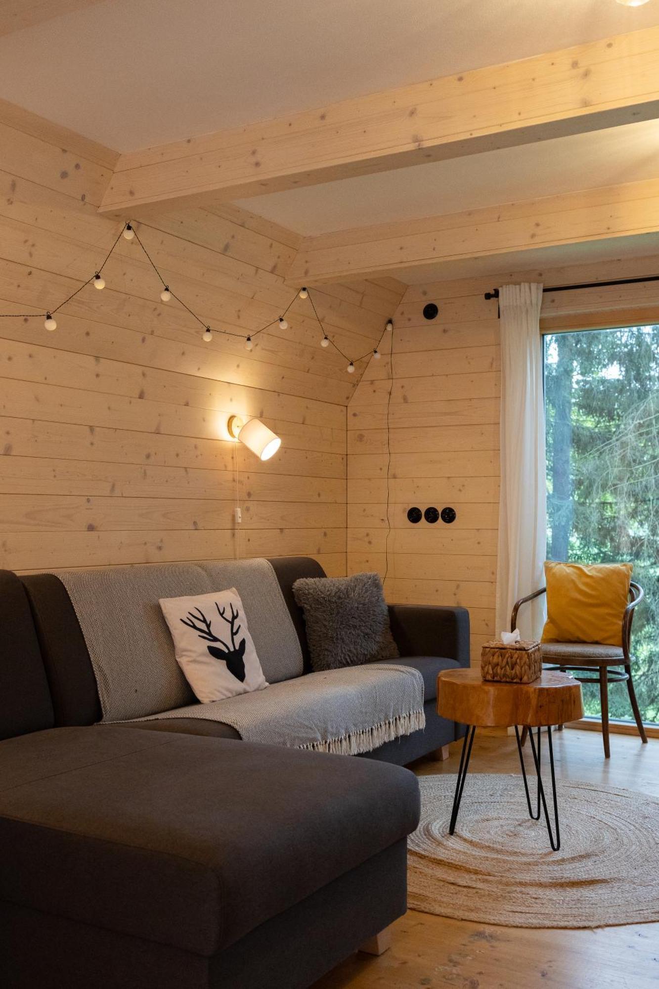 Kouty - Lesni Apartment